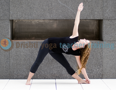 The Treasures of Triangle Pose | Functional Synergy